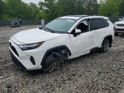2T3W1RFVXRW334639 2024 TOYOTA RAV 4