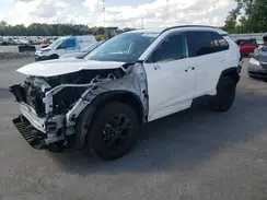 2T3W1RFVXRW338593 2024 TOYOTA RAV 4