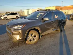 2T3W1RFVXRW344054 2024 TOYOTA RAV 4