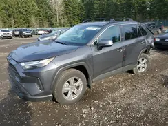 2T3W1RFVXRW350176 2024 TOYOTA RAV 4