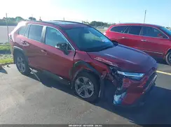 2T3W1RFVXRW359203 2024 TOYOTA RAV 4
