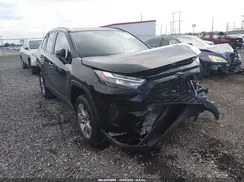 2T3W1RFVXSC315628 2025 TOYOTA RAV 4