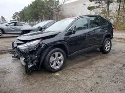 2T3W1RFVXSC326922 2025 TOYOTA RAV 4