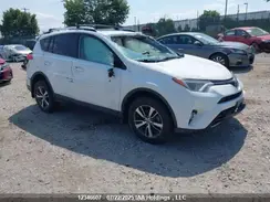 2T3WFREV0GW271289 2016 TOYOTA RAV 4