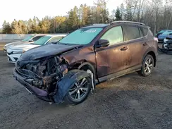 2T3WFREV0HW322792 2017 TOYOTA RAV 4