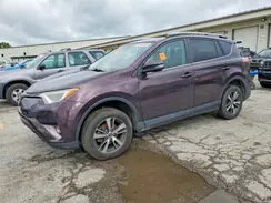 2T3WFREV0HW388677 2017 TOYOTA RAV 4