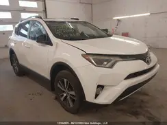 2T3WFREV1GW237149 2016 TOYOTA RAV 4