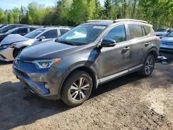 2T3WFREV1GW240469 2016 TOYOTA RAV 4