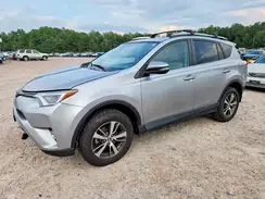 2T3WFREV1GW264660 2016 TOYOTA RAV 4