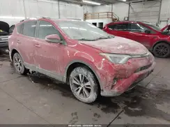2T3WFREV1HW320419 2017 TOYOTA RAV 4