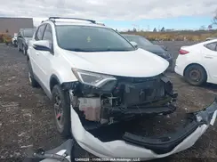 2T3WFREV2GW243624 2016 TOYOTA RAV 4