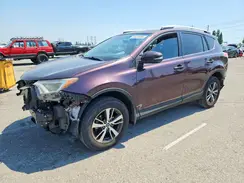 2T3WFREV2GW298977 2016 TOYOTA RAV 4