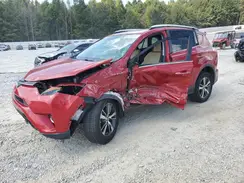 2T3WFREV3GW239002 2016 TOYOTA RAV 4