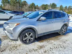 2T3WFREV3HW344186 2017 TOYOTA RAV 4