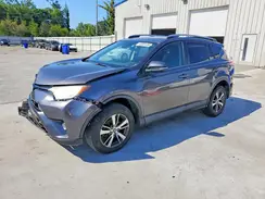 2T3WFREV5HW337904 2017 TOYOTA RAV 4