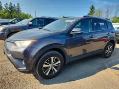 2T3WFREV8GW265160 2016 TOYOTA RAV 4