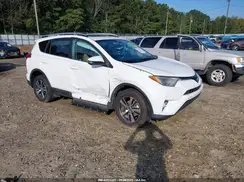 2T3WFREV8GW306452 2016 TOYOTA RAV 4