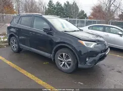 2T3WFREV9GW252627 2016 TOYOTA RAV 4