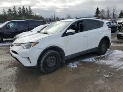 2T3WFREV9HW390931 2017 TOYOTA RAV 4