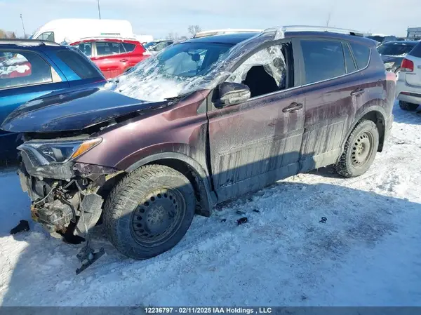 2T3WFREVXGW239501 2016 TOYOTA RAV 4 - Image 2