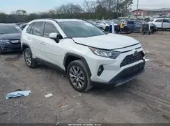 2T3Y1RFV0KW031724 2019 TOYOTA RAV 4