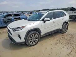 2T3Y1RFV0KW039130 2019 TOYOTA RAV 4