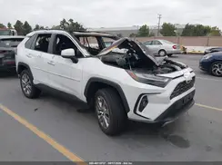 2T3Y1RFV3PW239023 2023 TOYOTA RAV 4
