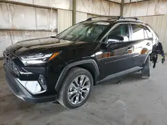 2T3Y1RFV4PC221065 2023 TOYOTA RAV 4
