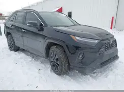 2T3Y1RFV5PW240156 2023 TOYOTA RAV 4