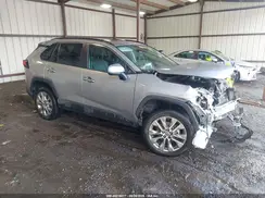 2T3Y1RFV6PC217390 2023 TOYOTA RAV 4