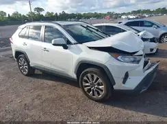 2T3Y1RFV7KW017853 2019 TOYOTA RAV 4
