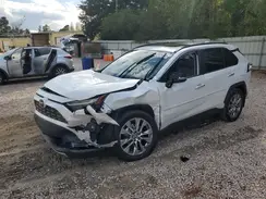 2T3Y1RFV7RW343985 2024 TOYOTA RAV 4