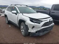 2T3Y1RFVXRW312682 2024 TOYOTA RAV 4