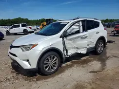 2T3YFREV0GW240407 2016 TOYOTA RAV 4