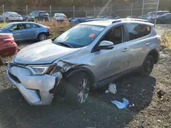 2T3YFREV1GW299000 2016 TOYOTA RAV 4