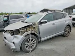 2T3YFREV8HW367116 2017 TOYOTA RAV 4