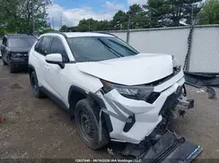 2T3Z1RFV2KC001243 2019 TOYOTA RAV 4