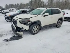 2T3Z1RFV2KC010895 2019 TOYOTA RAV 4