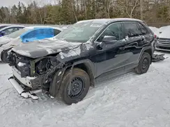 2T3Z1RFV2KW029879 2019 TOYOTA RAV 4