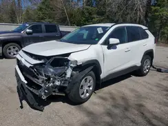2T3Z1RFV4KW020665 2019 TOYOTA RAV 4