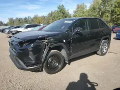 2T3Z1RFV5NW226825 2022 TOYOTA RAV 4