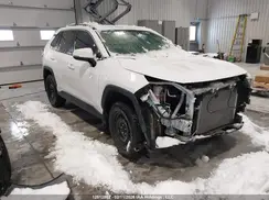 2T3Z1RFV6KC010608 2019 TOYOTA RAV 4