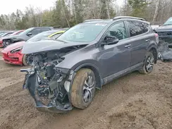 2T3ZFREV1HW316464 2017 TOYOTA RAV 4