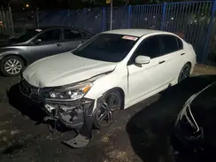 300041 2017 HONDA ACCORD