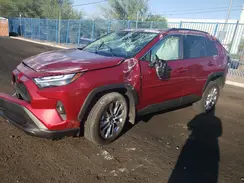 384204 2025 TOYOTA RAV 4