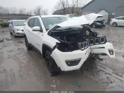 3C4NJCBB4KT778018 2019 JEEP COMPASS