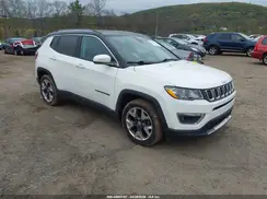 3C4NJCCB1LT110306 2020 JEEP COMPASS