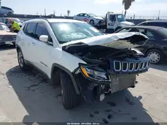 3C4NJCCB1LT128823 2020 JEEP COMPASS