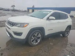 3C4NJCCB1LT170859 2020 JEEP COMPASS
