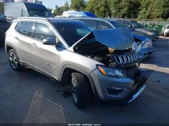 3C4NJCCB1LT187581 2020 JEEP COMPASS